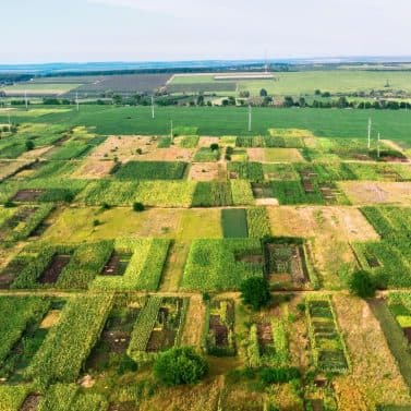 Land Banking & Real Estate Investing